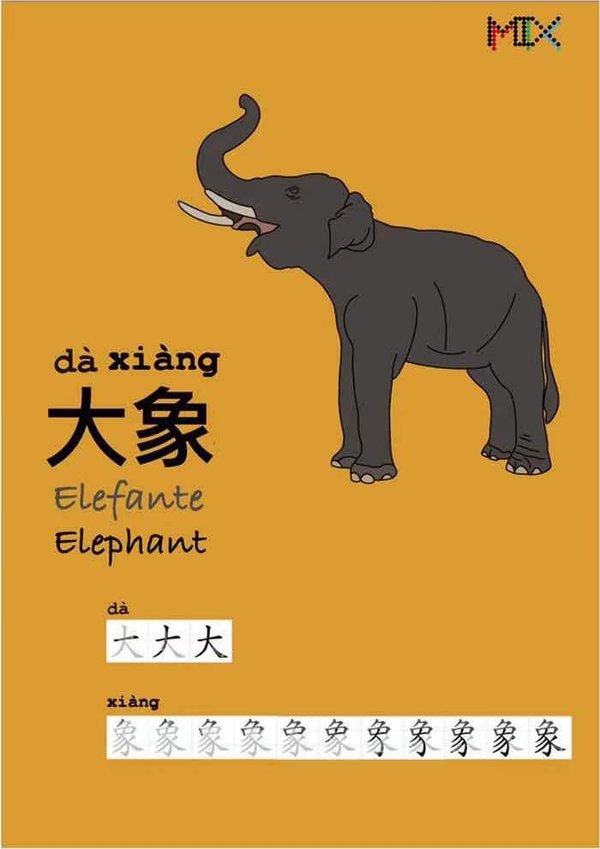 MIX Hanzi card: 大象 dà xiàng, elephant